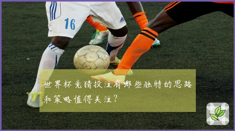 世界杯竞猜投注有哪些独特的思路和策略值得关注？