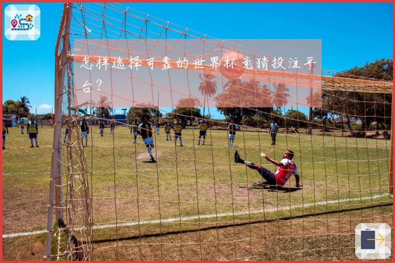 怎样选择可靠的世界杯竞猜投注平台？