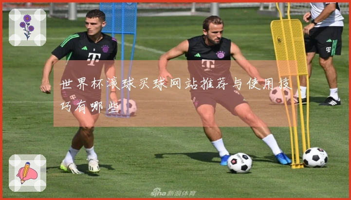 世界杯滚球买球网站推荐与使用技巧有哪些